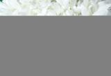 0.50 Carat (ctw) 10K Yellow Gold Round Diamond Ladies Heart Shaped Bridal Engagement Ring Set 1/2 CT