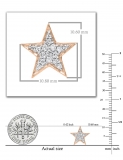 0.20 Carat (ctw) 10K Rose Gold Round Cut White Diamond Ladies Star Shape Fashion Stud Earrings