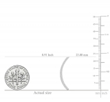 0.22 Carat (Ctw) Sterling Silver Round Cut White Diamond Ladies Crawler Climber Earrings 1/4 CT