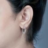 0.06 Carat (ctw) Sterling Silver Round Cut White Diamond Ladies Huggies Hoop Earrings