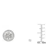 IGI CERTIFIED 0.50 Carat (ctw) 14K White Gold Round Diamond Ladies Solitaire Stud Earrings 1/2 CT