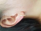 0.25 Carat (Ctw) 18K Yellow Gold Round White Diamond Ladies Fashion Hoop Earrings 1/4 CT