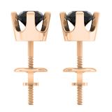 0.50 Carat (ctw) 10K Rose Gold Round Black Diamond Ladies Stud Earrings 1/2 CT