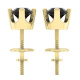 0.50 Carat (ctw) 10K Yellow Gold Round Black Diamond Ladies Stud Earrings 1/2 CT
