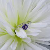 10K White Gold 6 MM Round Amethyst & White Diamond Bridal Engagement Ring