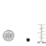 1.00 Carat (ctw) 10K White Gold Round Black Diamond Ladies Stud Earrings 1 CT