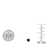 0.75 Carat (ctw) 18K White Gold Round Black Diamond Ladies Stud Earrings 1/3 CT