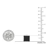 0.30 Carat (ctw) Black Rhodium Plated Sterling Silver Black Diamond Mens Iced Stud Earrings 1/3 CT