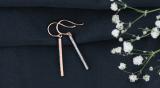 0.25 Carat (ctw) 10K Rose Gold Round White Diamond Ladies Fashion Dangling Earrings 1/4 CT