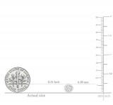 0.50 Carat (ctw) 14K White Gold Round White Diamond Ladies Solitaire Stud Earrings 1/2 CT