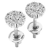 0.25 Carat (cttw) Round White Diamond Ladies Stud Earrings 1/4 CT 10K White Gold