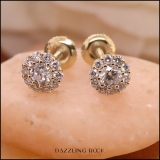 0.40 Carat (cttw) Round White Diamond Ladies Flower Cluster Stud Earring 18K Yellow Gold