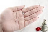0.10 Carat (cttw) Round White Diamond Snowflake Ladies Stud Earring Sterling Silver