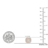 0.25 Carat (ctw) Round Diamond Ladies Cluster Cushion Frame Stud Earrings 1/4 CT 18K Rose Gold