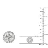 0.25 Carat (ctw) Round White Diamond Ladies Cluster Flower Stud Earrings 1/4 CT 14K White Gold