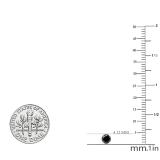 0.75 Carat (ctw) Round Black Diamond Ladies Solitaire Stud Earrings 3/4 CT 14K White Gold