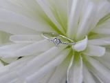 0.08 Carat (ctw) Round White Diamond Ladies Rope Style Heart Promise Engagement Ring 14K White Gold