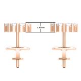 0.47 Carat (ctw) Princess & Round Diamond Ladies Custer Flower Stud Earrings 1/2 CT 18K Rose Gold