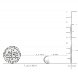 0.02 Carat (ctw) Round White Diamond Ladies Crescent Moon and Star Stud Earrings 10K White Gold