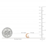 0.02 Carat (ctw) Round White Diamond Ladies Crescent Moon and Star Stud Earrings 14K Rose Gold