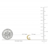 0.02 Carat (ctw) Round White Diamond Ladies Crescent Moon and Star Stud Earrings 18K Yellow Gold
