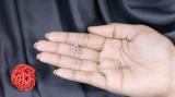0.14 Carat (ctw) Round White Diamond Ladies Anchor Stud Earrings 14K White Gold