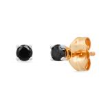 0.25 Carat (ctw) Round Black Diamond Ladies Solitaire Stud Earrings 1/4 CT 10K Yellow Gold