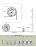 925 Sterling Silver Halo Stud Earrings, 1.12 CT Round Cubic Zirconia in Screw Back