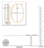 Round White Diamond Two Lines Oval Shaped Hoop Earrings for Women (0.54 ctw Color I-J Clarity I1-I2) in 18K Rose Gold