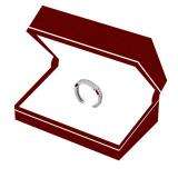 0.55 Carat (ctw) 10K White Gold Round Diamond Ladies Anniversary Wedding Band Enhancer Guard Ring 1/2 CT