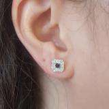 0.50 Carat (ctw) Sterling Silver Ladies Round Black and White Diamond Stud Earrings