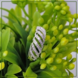 0.30 Carat (ctw) Sterling Silver Round Diamond Ladies Cocktail Band Ring