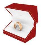 0.25 Carat (ctw) 18k Rose Gold Round Diamond Ladies Anniversary Wedding Band Guard Double Ring 1/4 CT