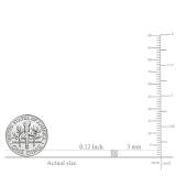 Round White Diamond Solitare Stud Earrings for Women (0.25 ctw, Color I-J, Clarity I1-I2) in 14K White Gold in Screw Back